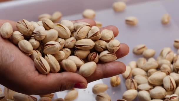 Hand Reaching Pistachios Holding Handful — Stock Video