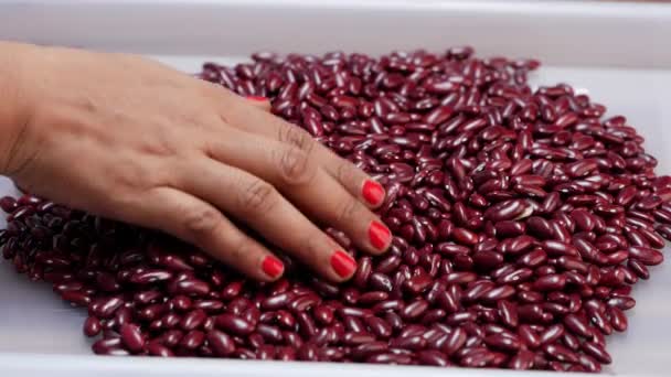 一个女人拿起一盘红豆 — 图库视频影像