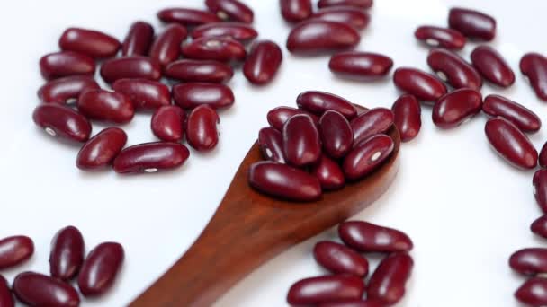 木製のスプーンに赤い豆が入っています ビーンズはビタミンやミネラルの健康的な供給源です — ストック動画