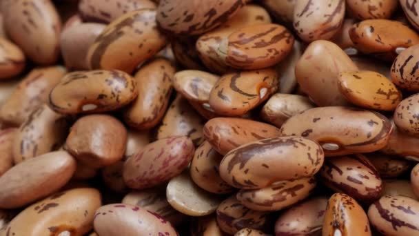 茶色と白い豆の山 乾燥したとロースト ビーンズは世界の主食 — ストック動画