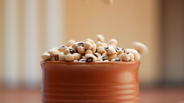 Ada Pot Kacang Hitam Dan Putih Dengan Kue Juga Diisi — Stok Video