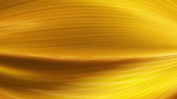 Metin Dalgalı Çizgileri Olan Sarı Arkaplan Dalgalı Desenli Altın Arkaplan — Stok video