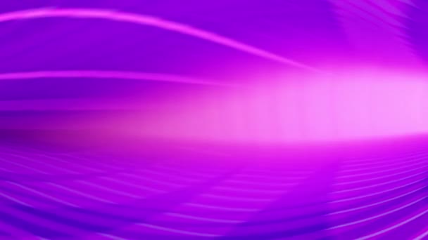 Fondo Abstracto Púrpura Con Líneas Onduladas Patrón — Vídeo de stock