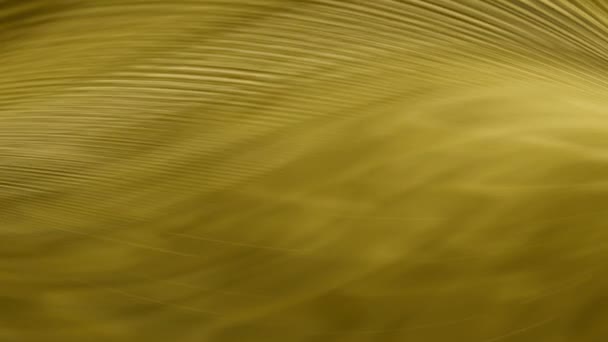 Zlaté Pozadí Tapety Jsou Módní Sofistikované Vychloubají Bohatým Zlatým Pozadím — Stock video