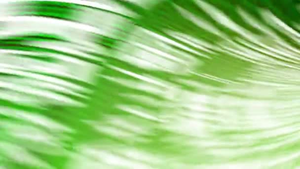 Zielone Rozmazane Tło Abstrakcyjną Ruchomą Plamą Liścia Niewyraźne Zielone Pole — Wideo stockowe