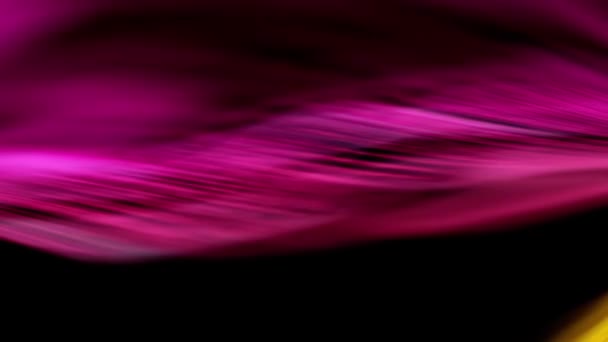 Этом Тексте Говорится Фиолетовых Обоях Различными Фонами Узорами Цветами Такими — стоковое видео