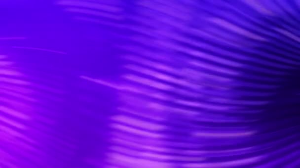 Абстрактные Фон Фиолетовыми Темами Такими Волнистые Узоры Тени Пальмовых Листьев — стоковое видео