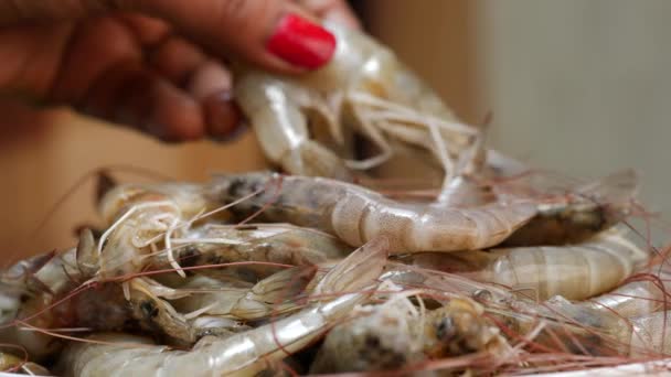 Une Pile Crevettes Fraîches Sur Une Table Bois Avec Gros — Video