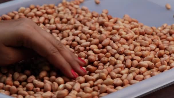 Eine Hand Hält Erdnüsse Einem Tablett Während Eine Frau Sie — Stockvideo