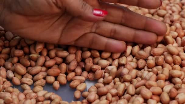 Les Cacahuètes Sont Une Main Commune Une Femme Qui Tend — Video