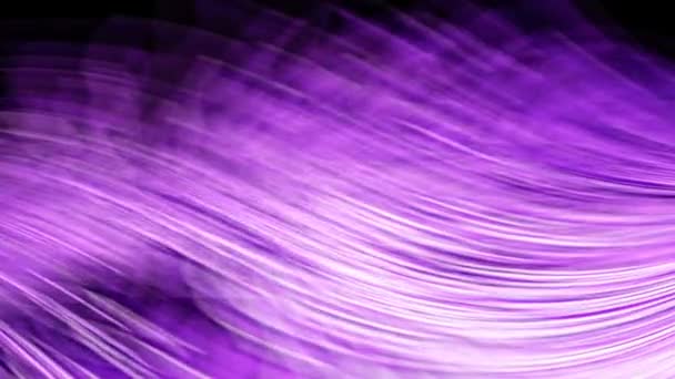 Purple White Swirling Background — Stock Video
