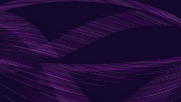 Purple Black Background Swirling Pattern — Stock Video
