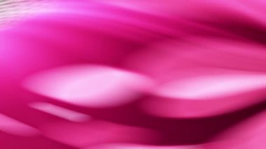 Animasyonun arka planı bulanık pembe ve mor renktedir.