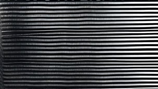 Ein Schwarz Weiß Gestreifter Hintergrund Mit Glitzerndem Rauschen — Stockvideo