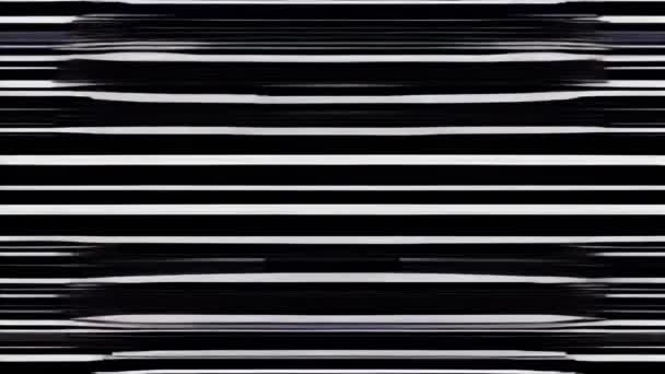 Immagine Glitch Statica Con Sfondo Bianco Nero — Video Stock