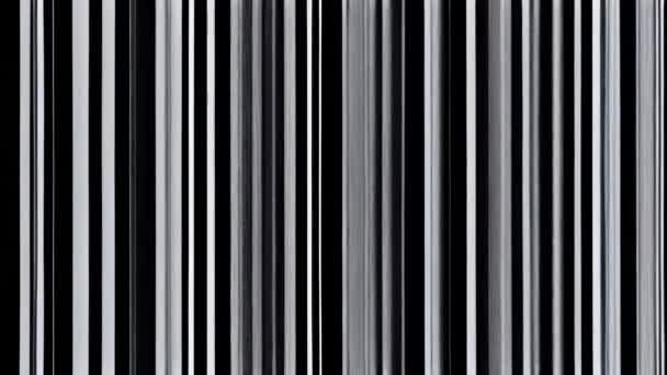 Siyah Beyaz Çizgili Kusurlu Bir Ekranı — Stok video