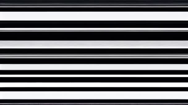 Una Imagen Glitchy Llena Estática Con Patrón Rayas Blanco Negro — Vídeo de stock