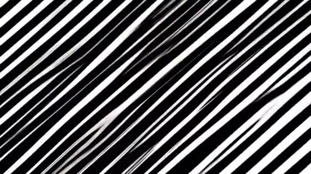 Bozuk Titrek Efektli Siyah Beyaz Bir Görüntü — Stok video