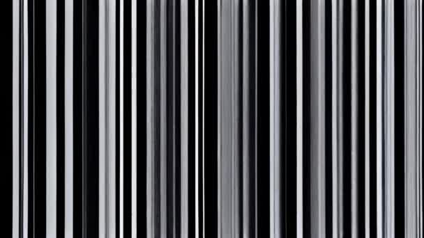 Immagine Statica Glitch Con Una Combinazione Colori Bianco Nero — Video Stock
