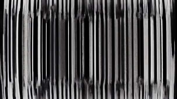 Bozuk Titrek Efektli Siyah Beyaz Bir Görüntü — Stok video