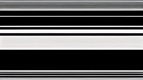 Ein Glitzerndes Statisches Bild Mit Einem Schwarz Weiß Farbschema — Stockvideo