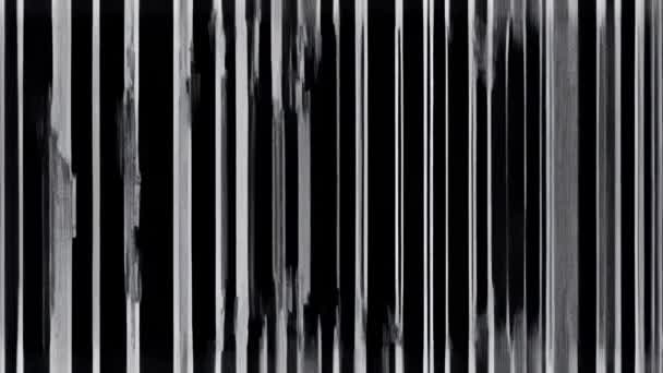 Egy Zavaros Statikus Kép Fekete Fehér Színsémával — Stock videók