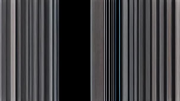 Una Imagen Glitchy Llena Estática Con Fondo Negro Rayas Blancas — Vídeo de stock