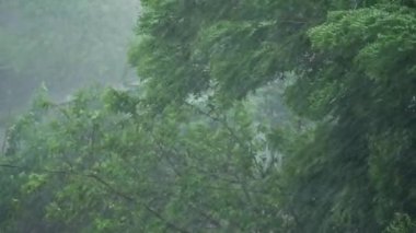 Tropikal bir mahallede yağmurlu bir gün