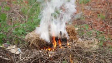 Vahşi ateş bitki örtüsünü yutar. Bu, doğa için bir tehdittir.
