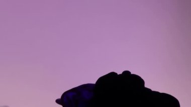 Soyut Sanatçılık Mürekkebi Harekette