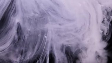 Mürekkep Sanatının Canlı Çiçeği