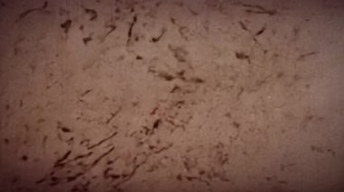 Dijital bozulma. Sinyal arızasının görsel senfonisi