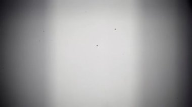 Dijital bozulma. Sinyal arızasının görsel senfonisi