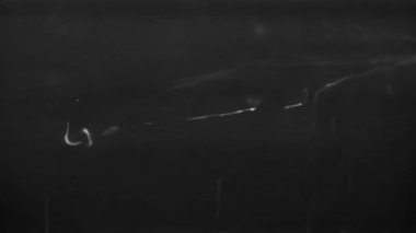 Dijital karanlık. Statik ve sinyal kaybı senfonisi.