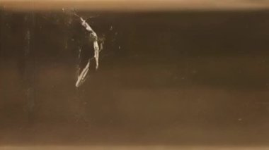 Dijital sinyal kaybı benzersiz görsel hata senfonisi