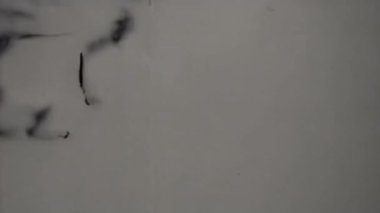 Dijital sinyal kaybı benzersiz görsel hata senfonisi