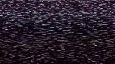 Elektriksel statik dijital sinyal bozulması VFX kaosu