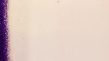 Karanlık, uzak yıldızlarla benekli gecenin kozmik bir hatasıydı.