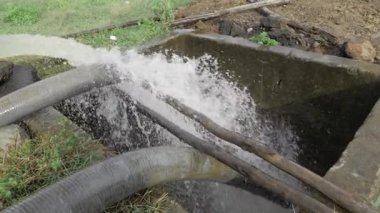 Nature's Ebb and Flow - A Journey into the Heart of the Wildstream