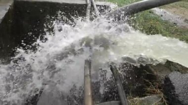 Splashing Euphoria - The Ultimate Guide to Water Wonders