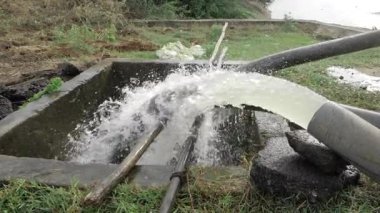 Thriving Oasis - Water Flowing from Nature's Heart