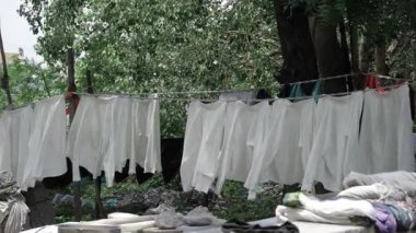 Washing Line with Whites and Greens