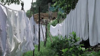 The Secret Life of a Laundry Line in the Wild - A Journey Through Nature's Washing Machine