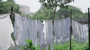 Washed in Nature's Embrace - A Serene Laundry Line