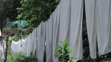 Garden Laundry Oasis - Clothesline Bliss