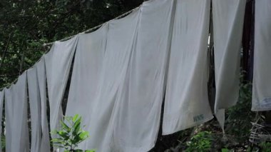 Whispering in the Wind - A Journey Through the Cloth Canopy of the Trees