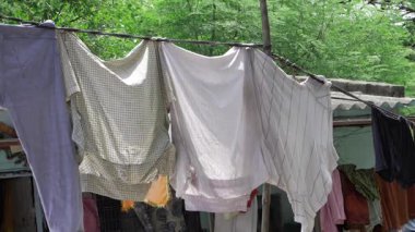 Elevate Your Laundry Game with Timeless Style