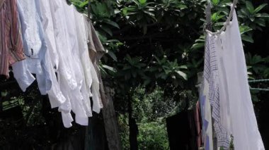 Vibrant Laundry Line in a Tropical Garden