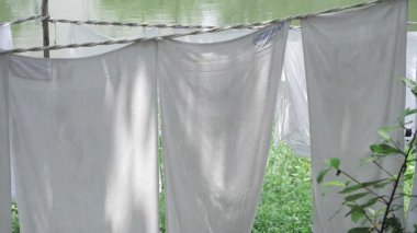 A Serene Glimpse of Nature - A View of the Lake from the Shade