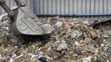 Amidst the Chaos of Trash, a Sight to See